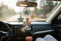 Car Freshies